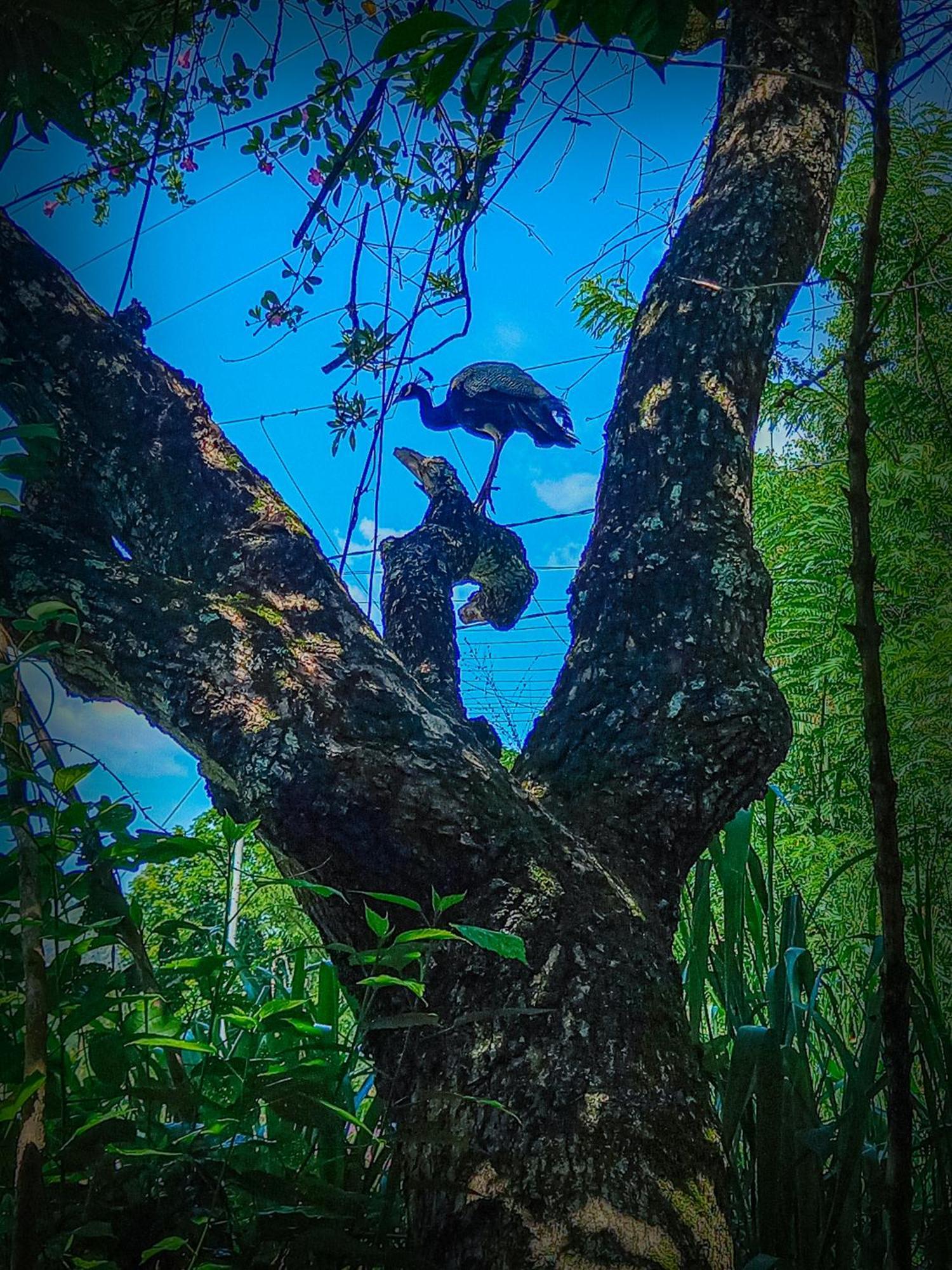 Апартаменты Ella Happy View Экстерьер фото